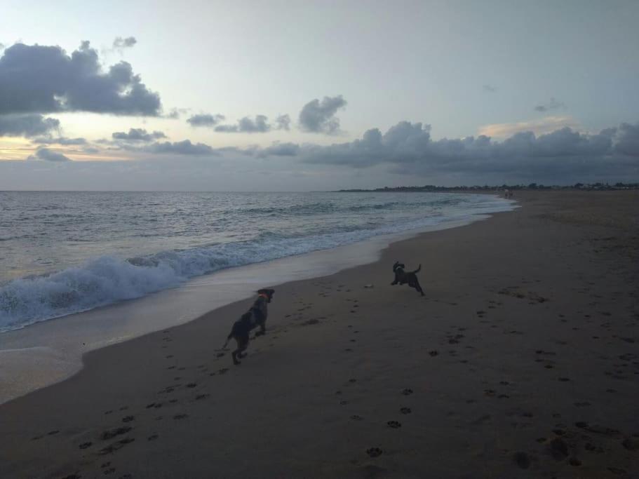 Rincón de la Victoria Precioso Apartamento A 50 Metros De La Playa מראה חיצוני תמונה